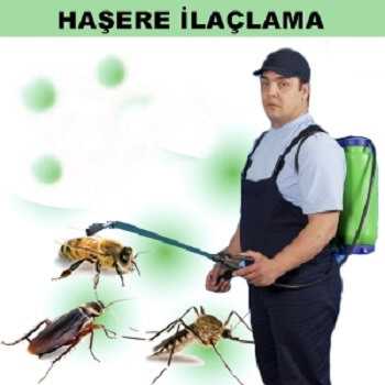 Hamur Böcek İlaçlama